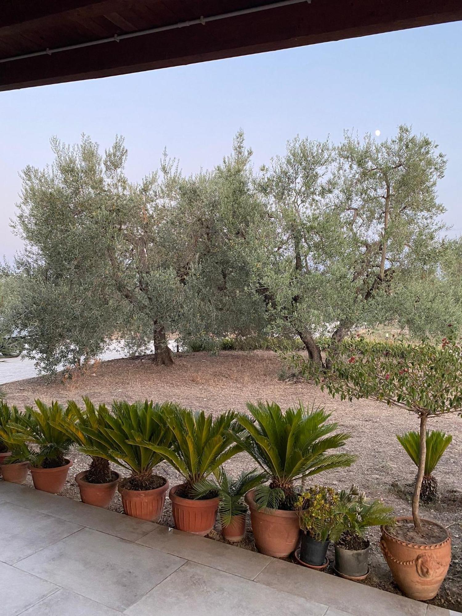 Holiday home Anna Andria